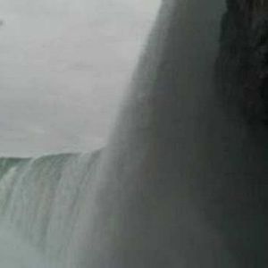 Meet your Posher, Joy